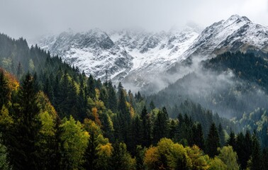 Fototapeta premium FALL SEASON