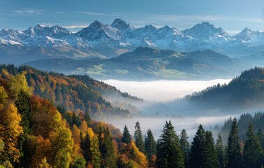 Fototapeta premium FALL SEASON