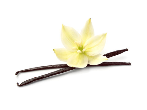 Vanilla stick with flower