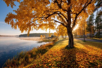 Fototapeta premium fall session