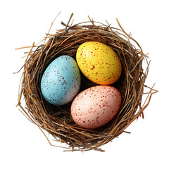 Obraz premium Easter eggs in nest png