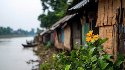 A Distant View of a Shantytown Built Along a Polluted River with Vibrant Flora in the Foreground