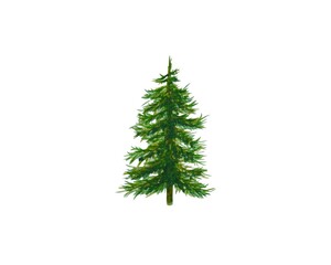 Isolated watercolor green Christmas tree hand drawn illustration  on white background