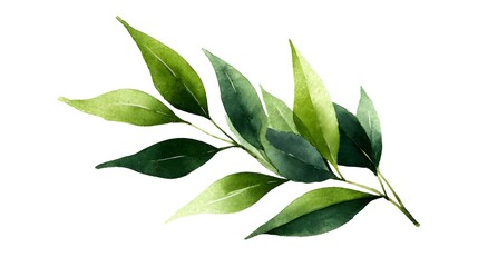 Fototapeta premium Vibrant verdant foliage of a flourishing plant showcasing the beauty and serenity of the natural world