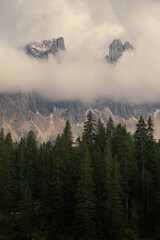 Latemar mountains above the forest in Dolomites