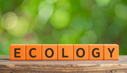 Orange wooden cubes with word ECOLOGY. Nature conservation. Save planet. Zero waste lifestyle.