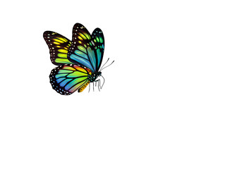 Obraz premium Vibrant Butterfly: Abstract Art Design Element