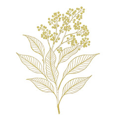 autumn leaves gold vector