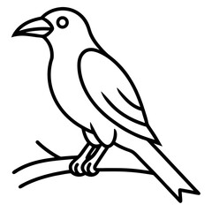 Obraz premium vector illustration of a bird