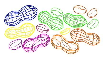 Colorful peanut illustration vector graphic for food nutrition and snack design art