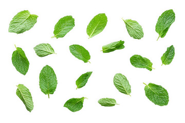Fresh mint leaves scattered isolated on transparent background