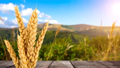 Wheat stalks on wooden surface/mountain background