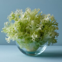 Frilly lettuce in a glass bowl, on a blue surface with soft lighting and cool tones