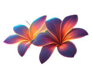 Fototapeta premium Vibrant glowing tropical blossoms isolated on a transparent background flowers petals