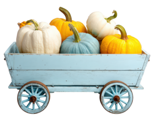Pastel pumpkin white pumpkin blue pumpkin yellow pumpkin wooden cart rustic autumn harvest decorative cheerful arrangement in vintage style