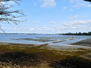 Ile-d'Arz, August 2025: Hiking around Ile-d'Arz in the Gulf of Morbihan in Brittany - View of the sea