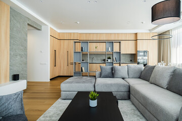 Modern living room in a stylish apartment with wooden accents and cozy furniture