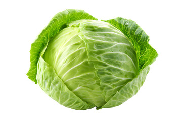 Obraz premium Fresh green cabbage head isolated for healthy eating and cooking isolated on transparent background