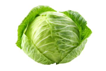 Fresh green cabbage head isolated for healthy eating and cooking isolated on transparent background