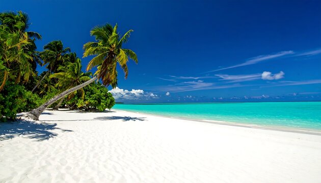 Tropical beach paradise scene