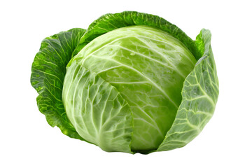 Fresh green cabbage head with vibrant outer leaves detailed close-up studio shot isolated on transparent background
