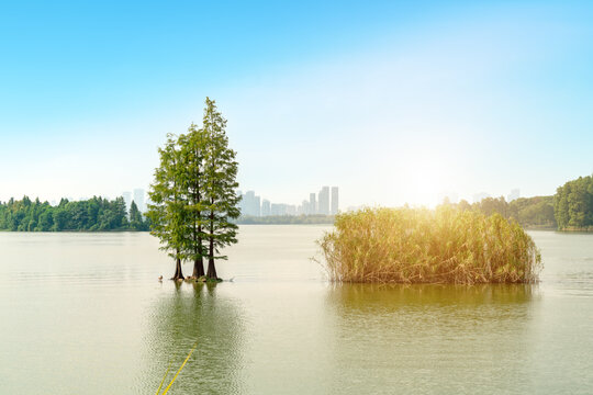 Landscape  of  Wuhan East Lake of Hubei province.East Lake Scenic Area of Wuhan