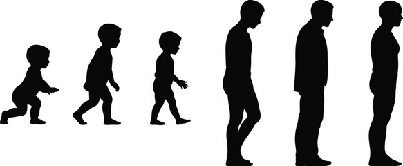 Silhouette of male life stages from toddler to adult, growing human concept, evolution age process isolated on white background vector illustration