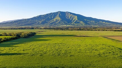Obraz premium A breathtaking view of lush green fields with a majestic mountain backdrop, ideal for nature-themed projects, travel articles, or agricultural promotions, Perfect for evoking tranquility and beauty,
