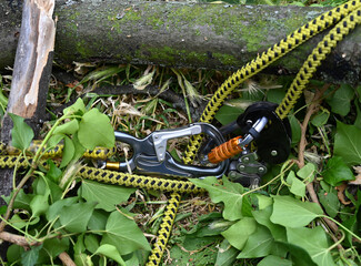 Rescue gear setup for tree removal and safety operations in a wooded area during daylight hours