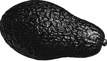 Detailed black and white avocado