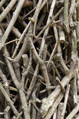 pile of cut tree branches, textured background