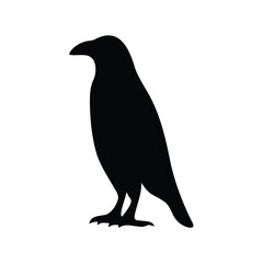 Fototapeta premium Silhouette of a Raven, a Symbol of Mystery and the Unknown
