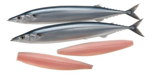 Partially baked quiche crust with golden-brown edges, in a glass pie plate featuring a clear view of the layers