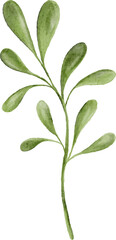 Watercolor green leaves