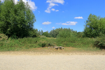 A wooden insect feature in a woodland landscape on a bright summers day