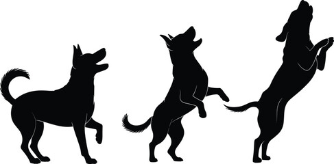 Silhouettes of Jumping Dogs in Playful Poses, Energetic Pets in Motion, Animal Activity, Training, Joyful Dog Behavior Concept