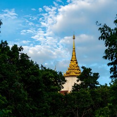 Naklejka premium Golden spire piercing through the trees