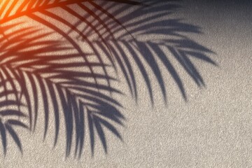 Intricate interplay of light and shadow from palm fronds projecting on a textured wall creating a serene atmospheric composition that evokes a sense of tranquility and natural beauty