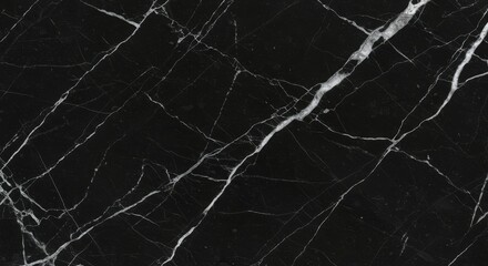 Elegant black marble texture with delicate white veins for sophisticated designs