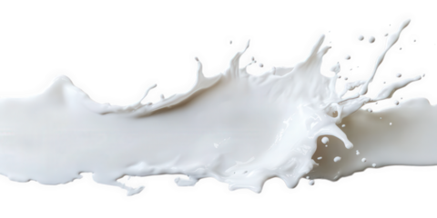 White milk splash isolated on transparent background