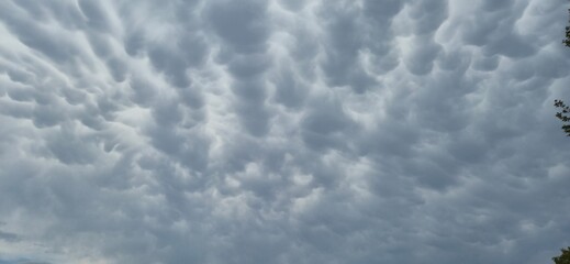 Mammatus cloud in the sky