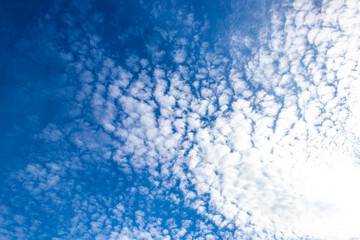 Frequency generated chemical trail clouds covering the sky and sun.