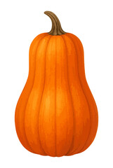 Butternut squash pumpkin illustration in warm orange, isolated on transparent background, ideal for autumn, harvest, food, and seasonal decoration.