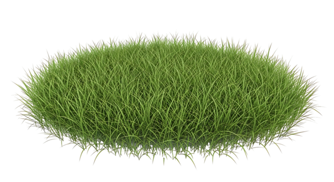 Green grass patch isolated on transparent background, perfect for landscaping