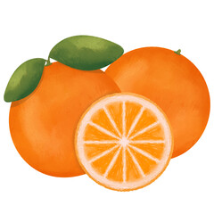 Orange Illustrations