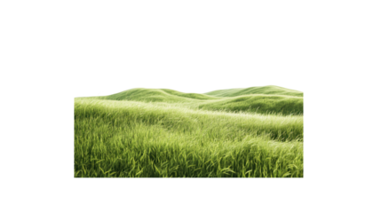 Serene Green Meadow: A panoramic view of a lush green meadow, softly undulating under a bright sky, evokes a sense of calm and natural beauty. 