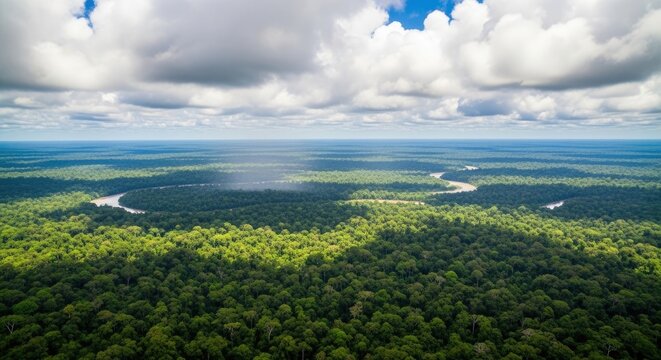 Aerial View of Amazon Rainforest with River and Clouds