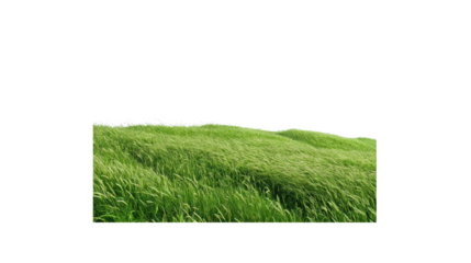 Green Grass in the Wind: Capturing the invigorating freshness of a verdant meadow. Witness the lively dance of nature's elements, as the strong wind sweeps through the lush green blades