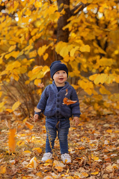 A little boy of 1 year old plays in warm clothes and a hat in an autumn park and yellow autumn leaves fall on him. leaf fall. autumn mood. autumn season. fall. childhood