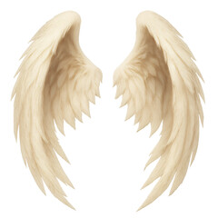 White Angel Wings on Transparent Background &ndash; Realistic Feathered Illustration